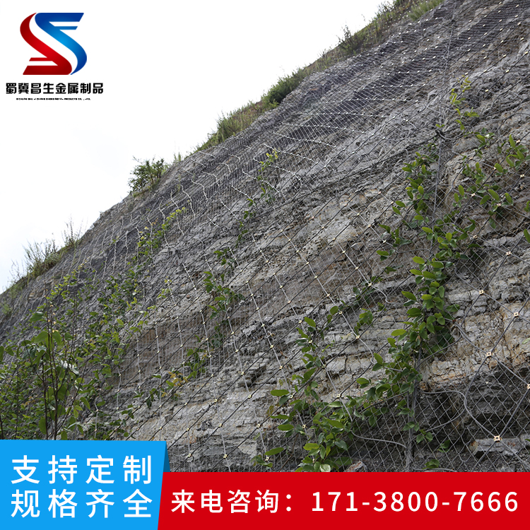 眉山市边坡防护网sns柔性主动边坡防护网批发山体防落石滑坡钢丝边坡防护网