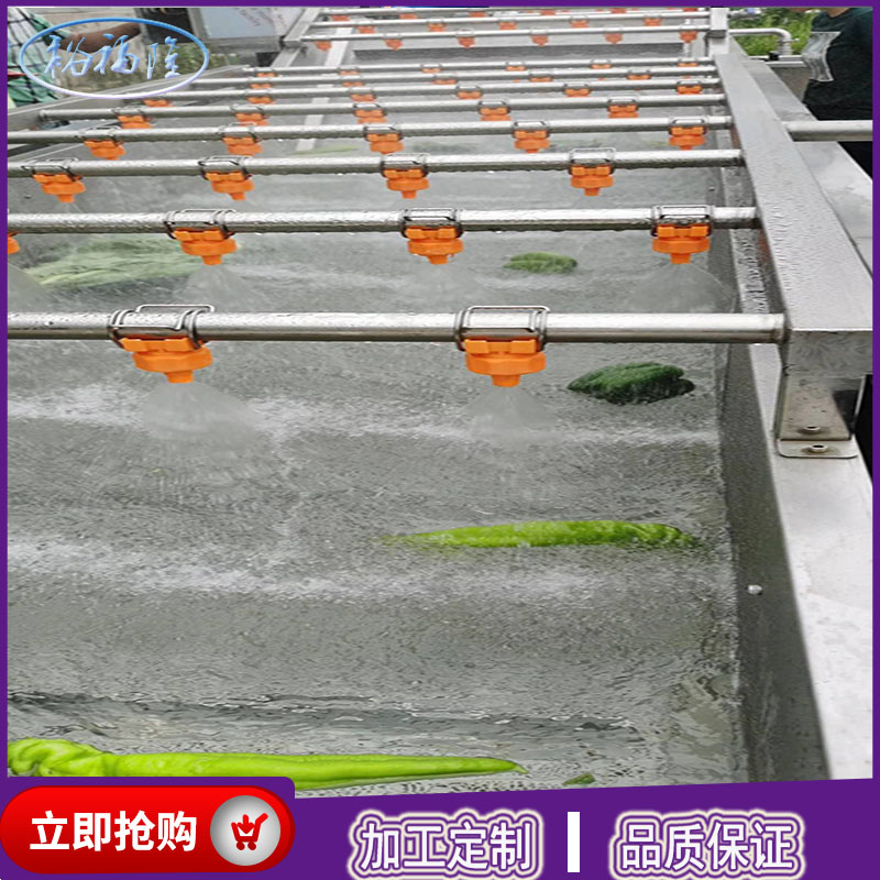 全自动翻浪式气泡清洗机 西红柿气泡清洗机价格 厂家定制