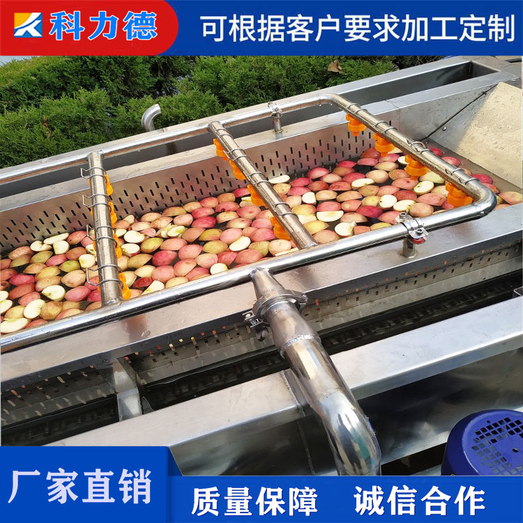 枸杞大枣喷淋式清洗机 枸杞浸泡去杂清洗机 净菜加工清洗设备 洋葱土豆清洗机