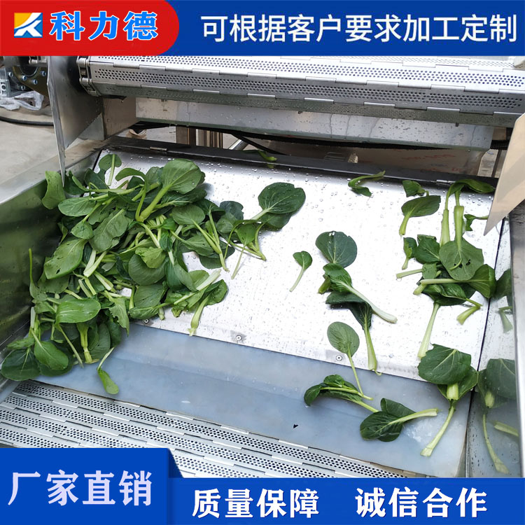 裙带菜蔬菜清洗机 多功能枸杞气泡清洗机 连续式大枣清洗设备科力德生产厂家