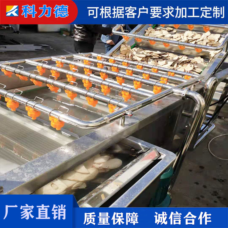 全自动大枣加工设备 大姜清洗加工流水线 新疆大枣枸杞浸泡去杂设备