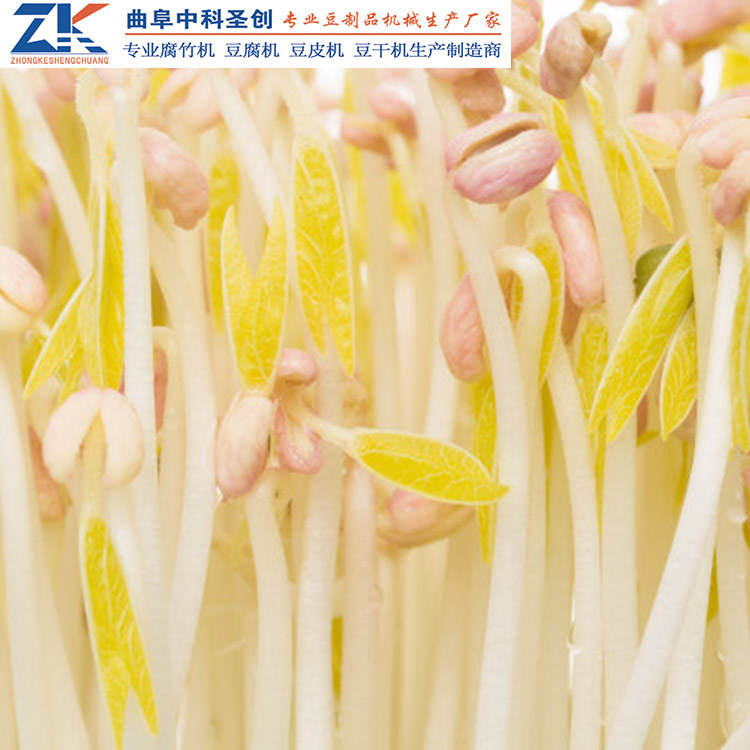 房山区自动花生芽机 16盒自动花生芽机 中科圣创豆芽机厂家直销