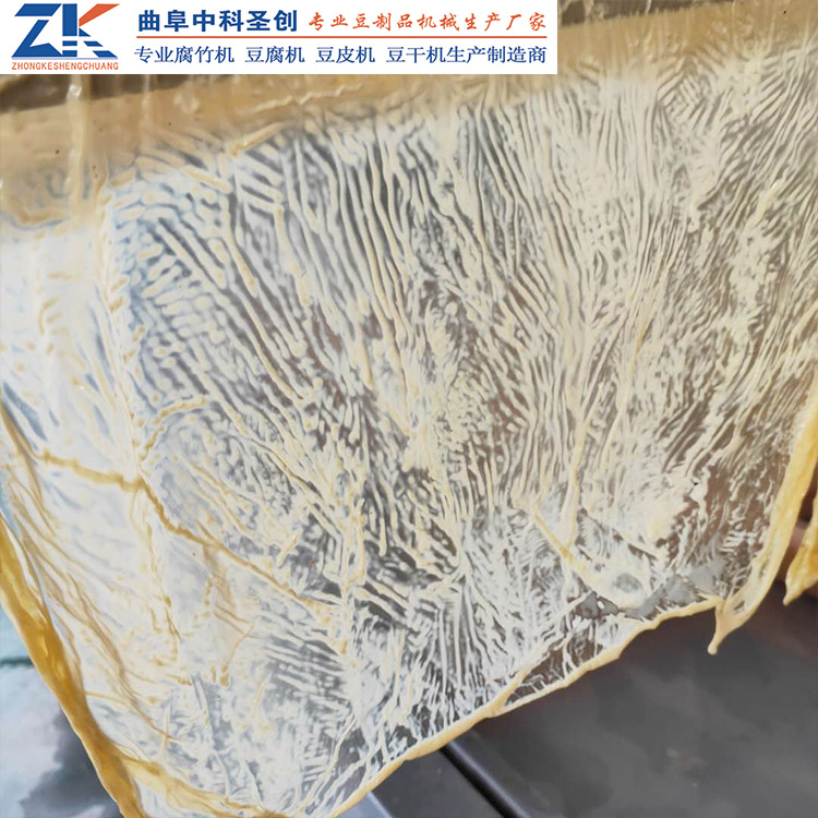 全自动腐竹油皮生产线 新乡县生产厂家 全自动腐竹机价格