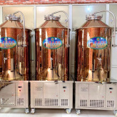 直销酿酒设备 家庭小型酿制啤酒设备 出售扎啤机