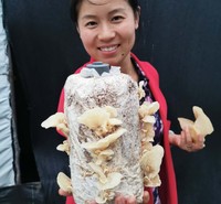 山东特产羊肚耳沙耳新鲜干品肉壁厚口感脆颜色正基地直销