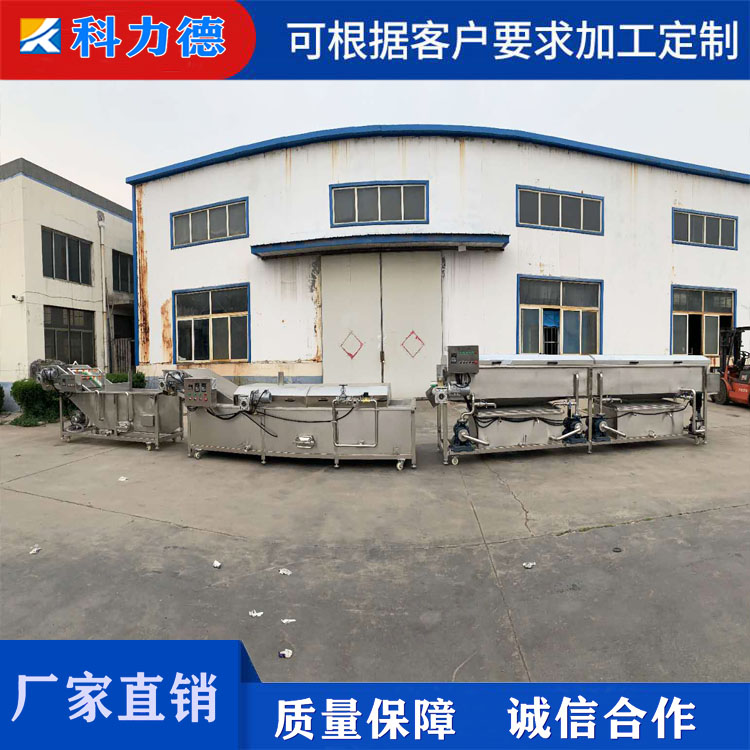 胡萝卜蒸煮漂烫机 水果罐头预煮机 豆角清洗杀青冷却流水线 漂烫蒸煮杀青护色机