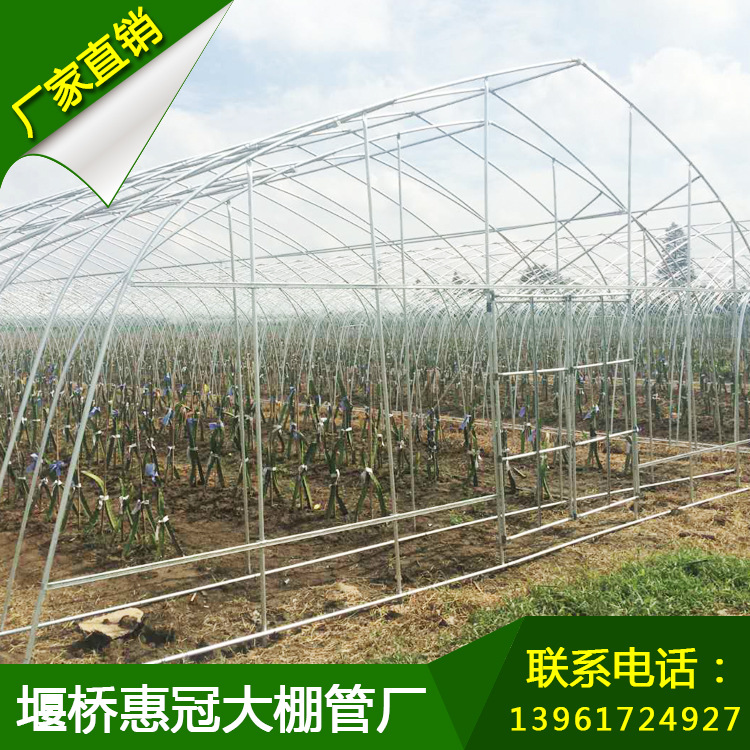 农业大棚 种植农业大棚 养殖农业大棚 支持非标定制