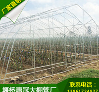 <em>农业</em>大棚 种植<em>农业</em>大棚 养殖<em>农业</em>大棚 支持非标定制