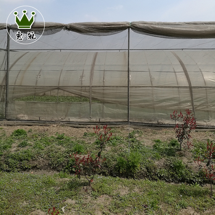 蔬菜大棚 种植蔬菜的框架覆膜结构 蔬菜大棚 建造方便