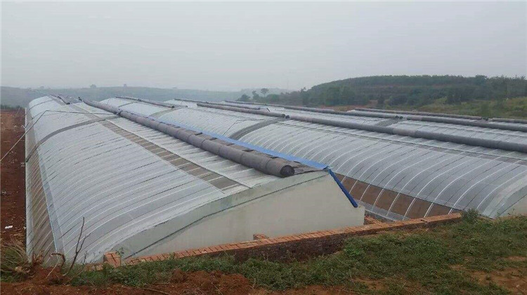 日光温室大棚农用温室大棚  天之蓝温室