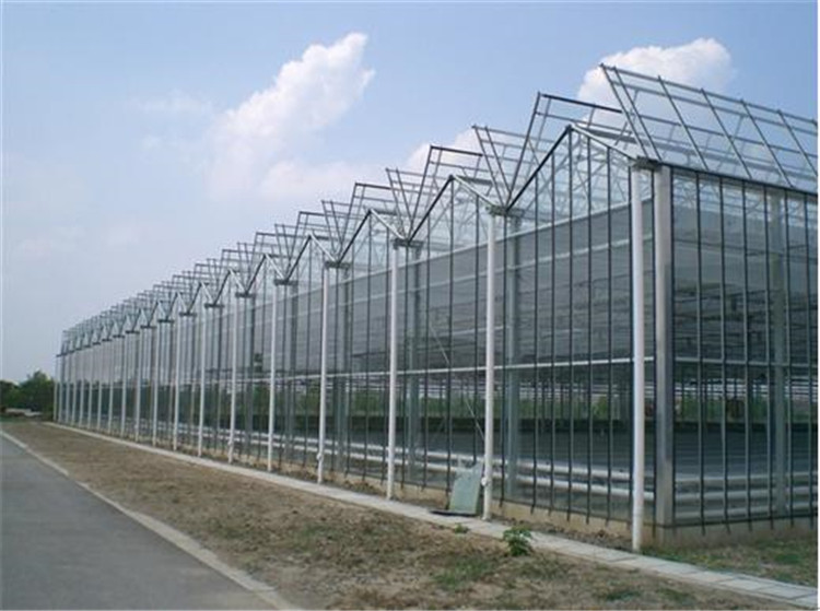 钢化玻璃玻璃智能温室大棚 玻璃智能温室大棚建设 天之蓝温室