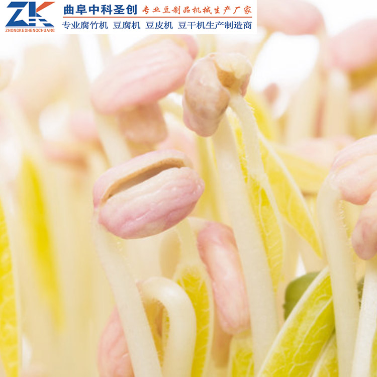 全自动小型花生芽机 尖山区自动花生芽机 无需专人看管设备
