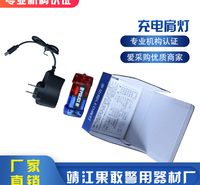 双边闪烁肩灯 <em>安</em><em>防</em>肩灯 安保肩灯