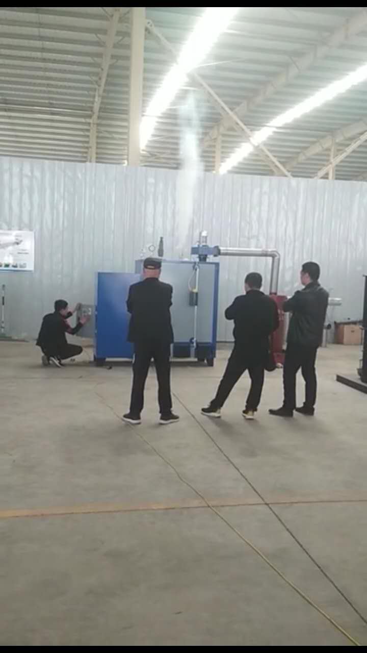 生物颗粒燃烧机,生物质蒸汽发生器,燃生物质颗粒蒸汽发生器