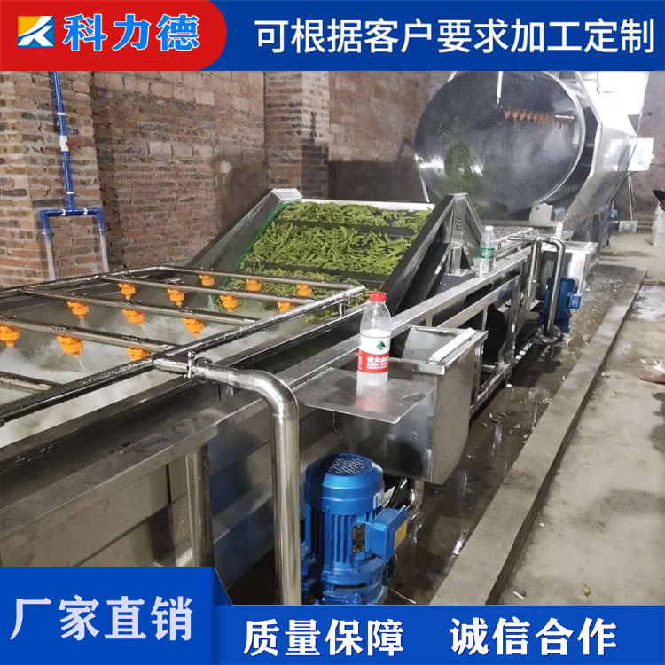 厂家定制豌豆大豆风选设备 毛豆八角风选机 辣椒大枣自动风选加工流水线