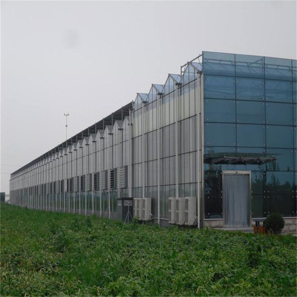 北方玻璃温室大棚 山智能温室大棚建造 北方玻璃温室大棚建设公司