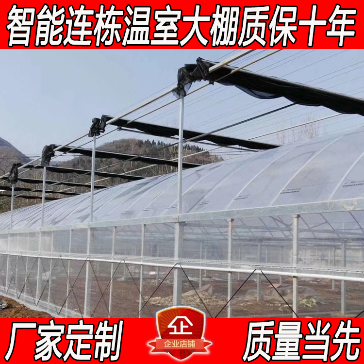 福州连栋温室大棚钢管骨架
