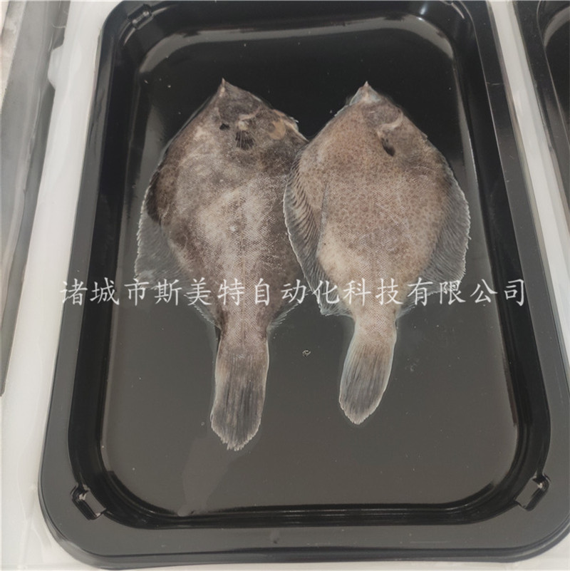 斯美特厂家三文鱼片真空包装贴体机