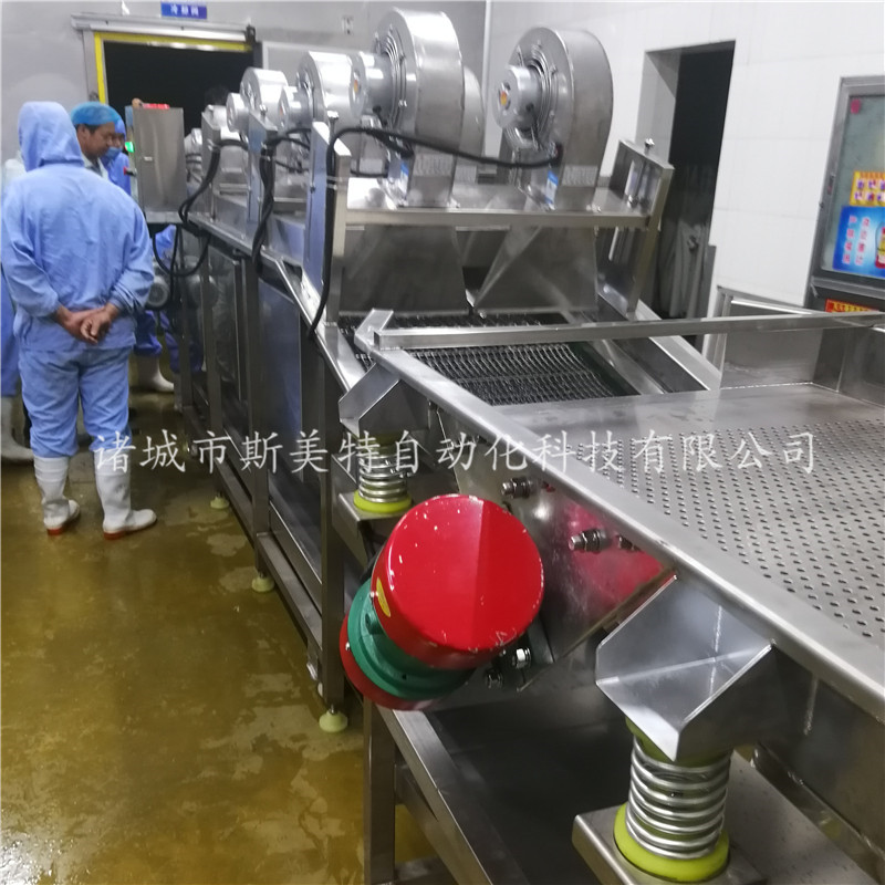 冬枣清洗去杂机 气泡菠菜清洗机 清洗风干定制厂家