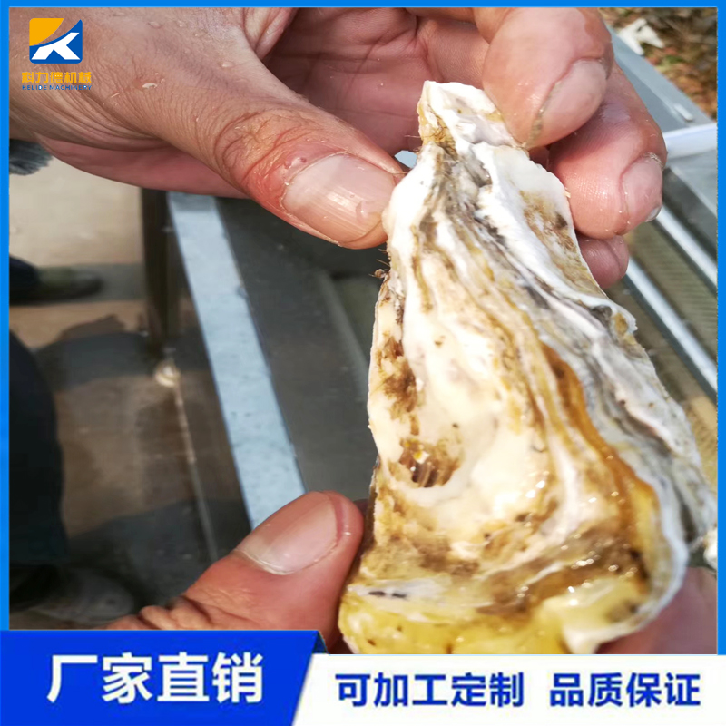 厂家直销天麻折耳根毛刷清洗机 白附子自动去皮机 新疆贝母专用清洗机