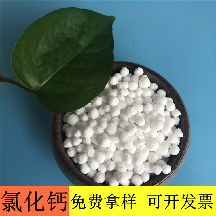 氯化钙 达康化工厂家直销工业级二水光球氯化钙 氯化钙价格