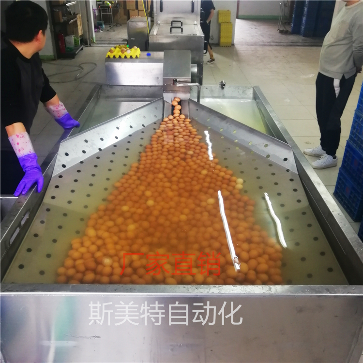 供应商超学校保洁鸡蛋清洗风干杀菌光检上油一体机