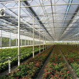阳光板温室批发 专业建造pc阳光板智能温室大棚 种植业养殖业温室大棚报价 北方