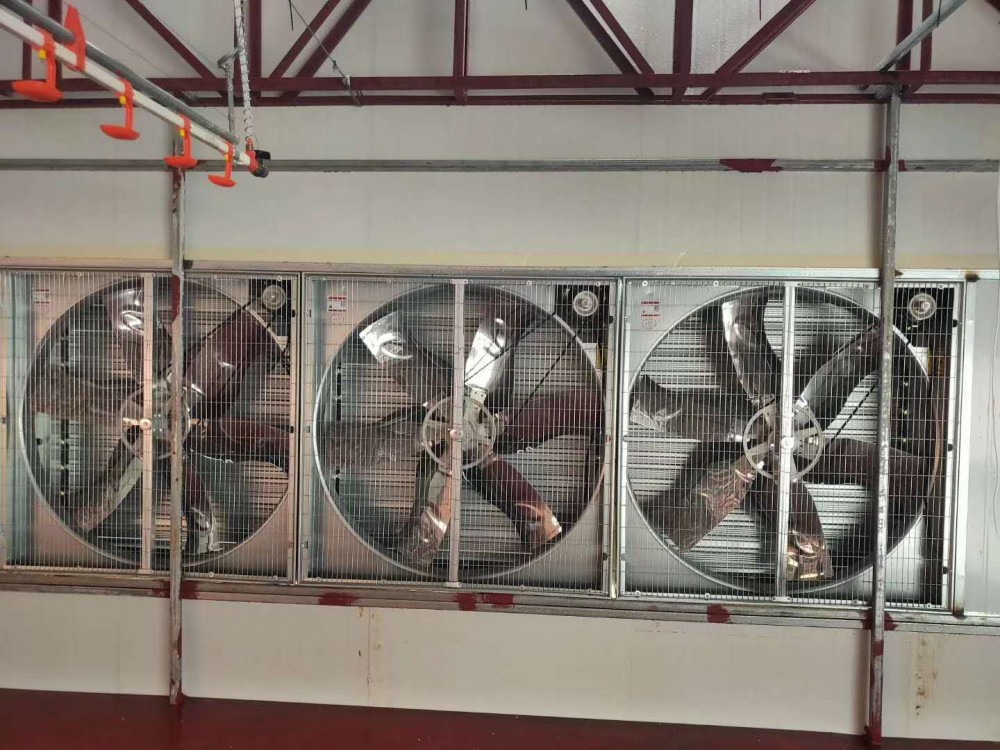 负压风机 680型 车间大功率 降温水帘 养殖猪场 厂房换气 工业级风扇
