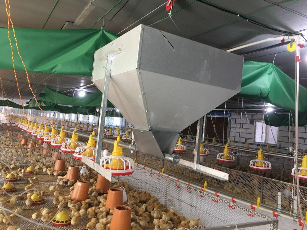 养鸡料线 养鸡料线水线配件 鸡用饮水器 厂家销售 富博养鸡料线生产厂家