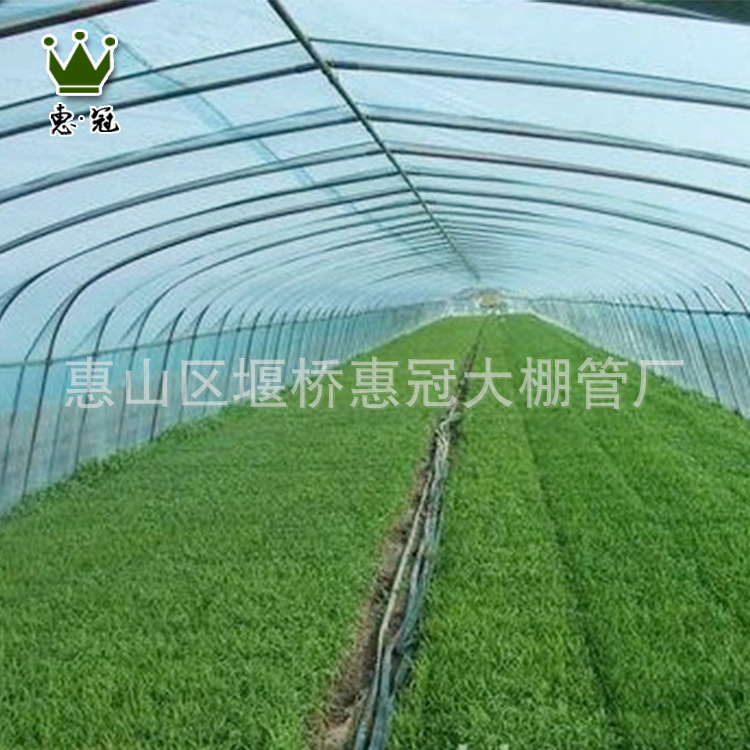 单体大棚 定制蔬菜养殖单体大棚骨架 批发塑料薄膜单体大棚