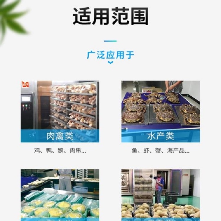 海蛎子海鲜隧道式速冻机 全自动食品速冻机  速冻隧道厂家