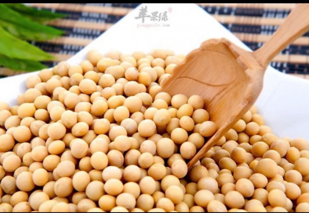 2020年新品大豆 高蛋白大豆 大豆原粮 阳光嘉里郑1307高产大豆  厂家直销 价格合理