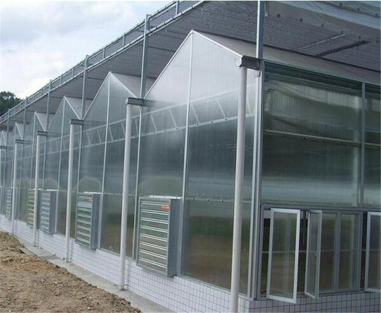 新型玻璃温室大棚 玻璃温室骨架材料 玻璃温室使用时间