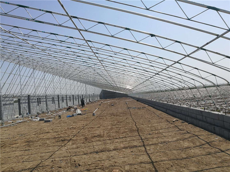 种植日光温室大棚  水果日光温室建造 日光温室大棚骨架批发价