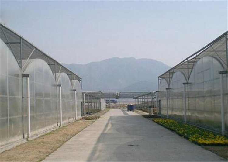 连栋薄膜温室 智能塑料薄膜温室大棚 连栋薄膜温室农业种植
