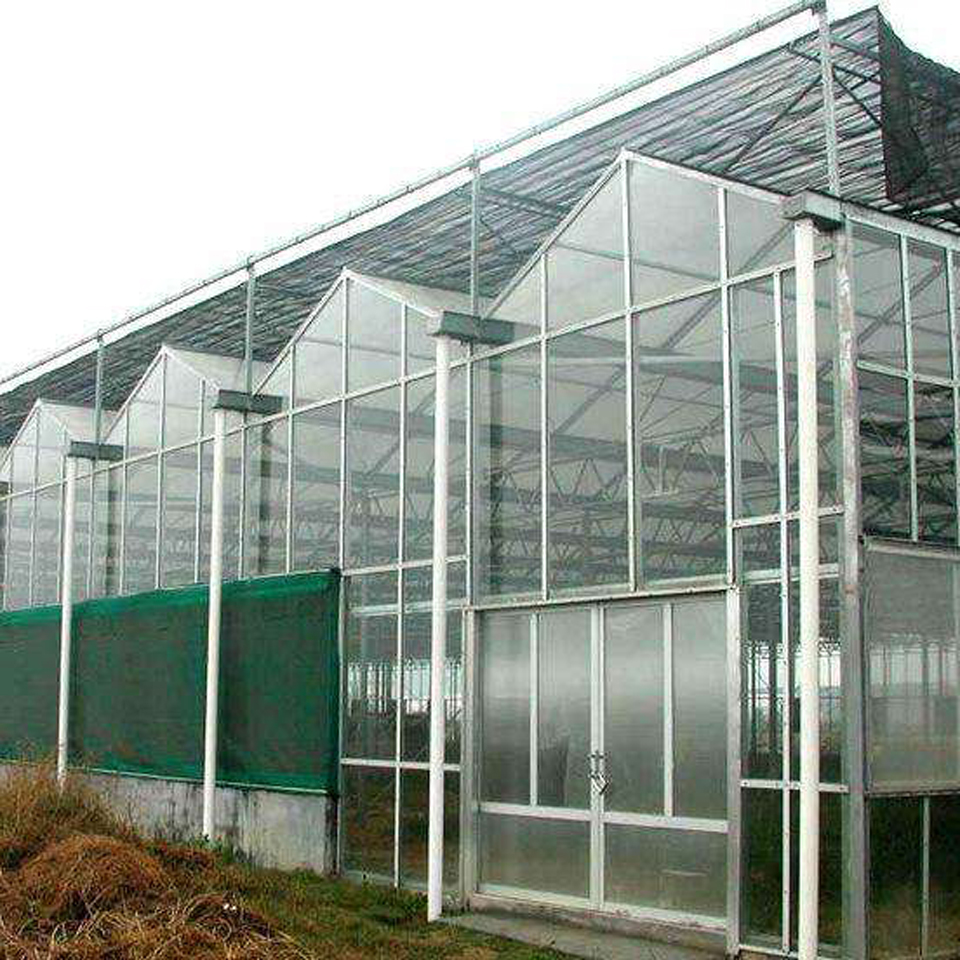 甘肃文洛温室建造  文洛温室报价