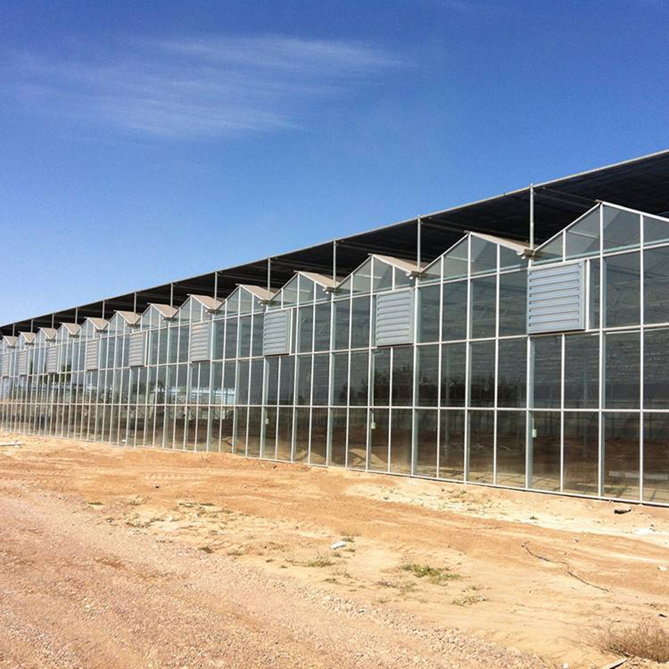 承建文洛温室价格  文洛温室建设