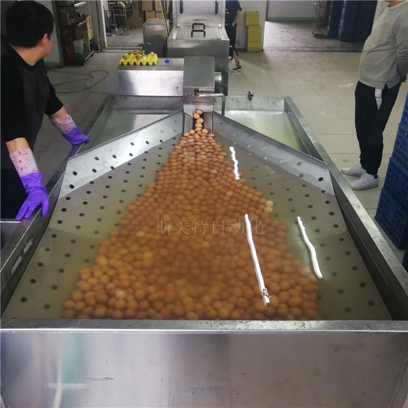 直销保洁蛋生产线 304不锈钢洗蛋机 多功能电动洗蛋机械设备