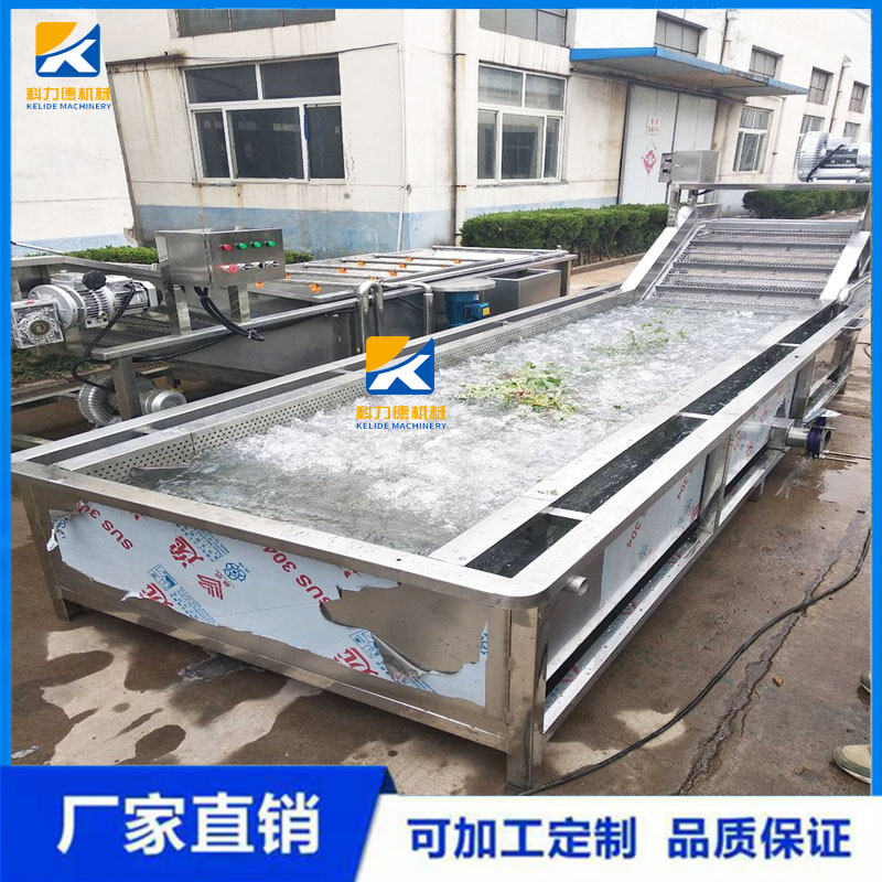 生菜茄子304不锈钢多功能气泡清洗机 净菜加工清洗设备 全自动洗菜机厂家