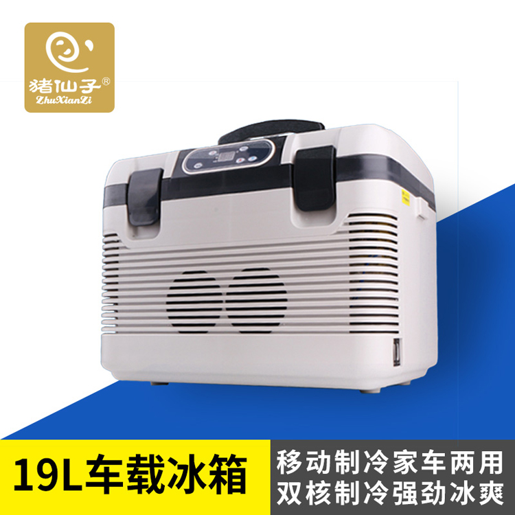 19升车家两用冷暖双能液晶数显冰箱 双核制冷猪精保存专用冰箱