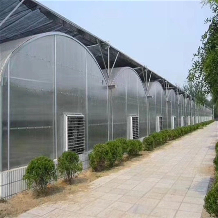 信誉至上 连栋薄膜温室大棚 薄膜温室 服务至上