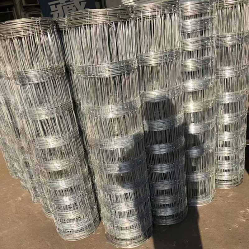 鹏信丝网牛栏网厂家 立柱草原牛栏网镀锌勾花草原网