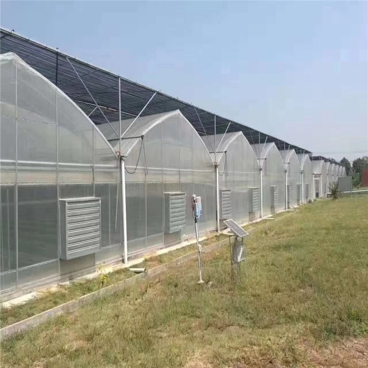 信誉至上 连栋薄膜温室大棚 薄膜温室大棚 服务至上