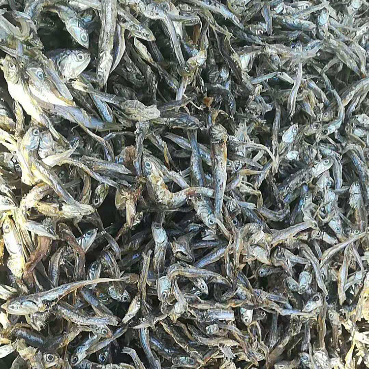 淡水鱼干 饲料级鱼干 蛋白饲料鱼干 河北饲料生产厂家