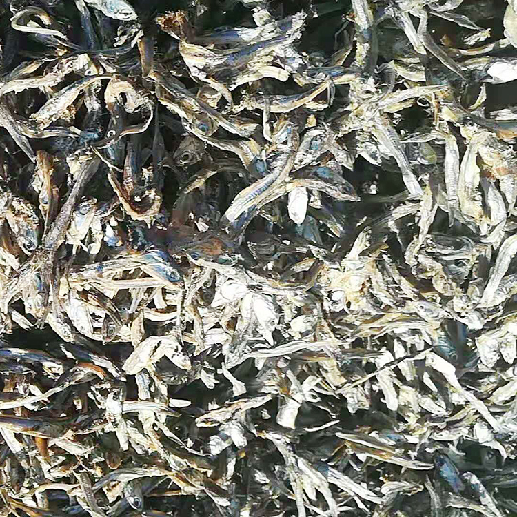 常年销售饲料鱼干 熟鱼干 水产畜禽饲料鱼干 质量放心