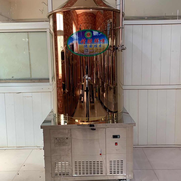 自酿啤酒设备报价 小型啤酒酿酒设备 精酿啤酒小型设备价格