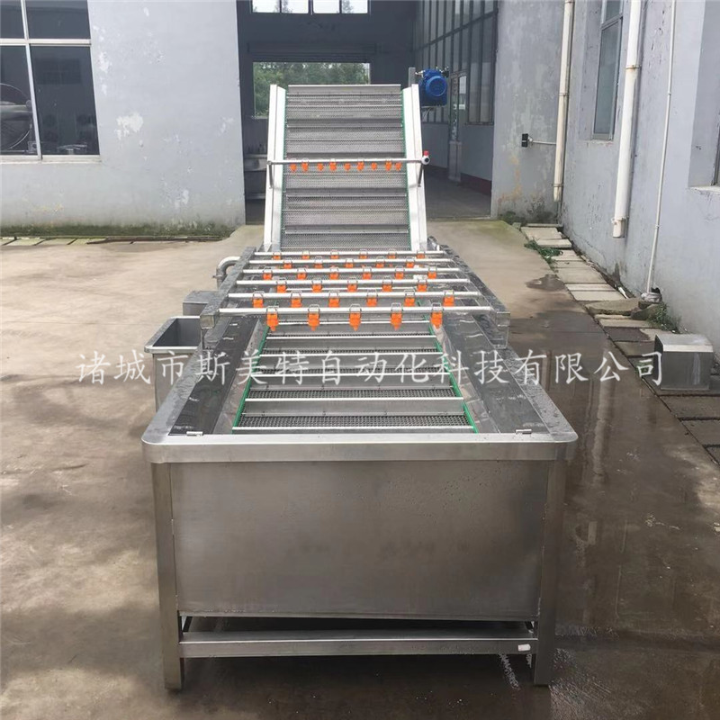 大型圣女果清洗流水线  全自动果蔬清洗流水线  斯美特欢迎来电