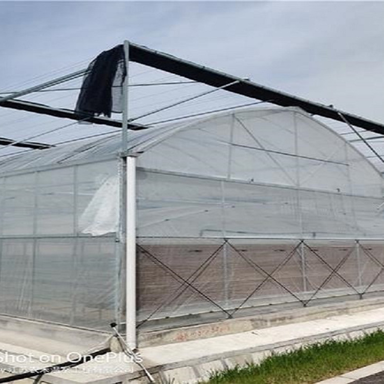 连栋薄膜温室建造商 阳凯温室工程 欢迎咨询连栋薄膜温室成本