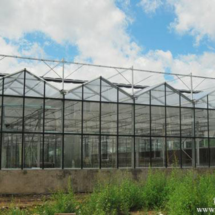 【阳凯温室工程】玻璃温室 钢化中空玻璃 连栋玻璃温室搭建