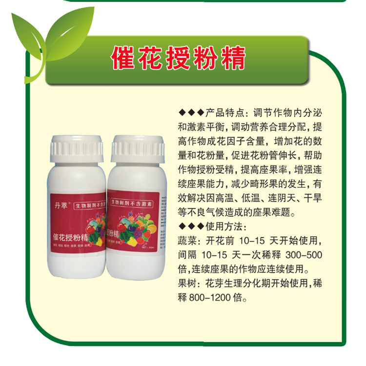 蔬菜专用催花授粉精 催花素 服务至上 催花授粉精 氨基酸农药 诚信至上